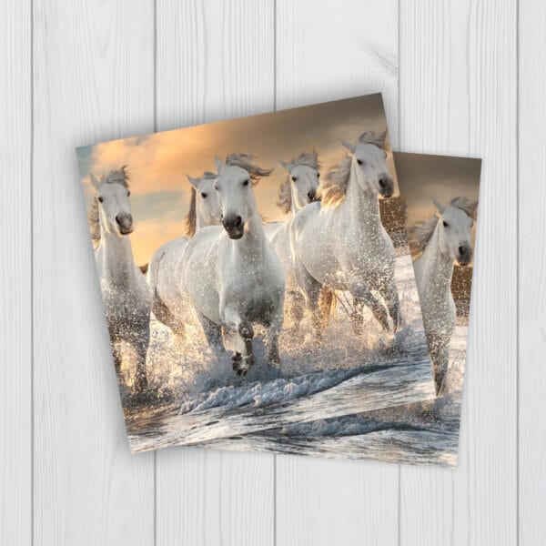 Póster Fotográfico papel sintético 60x160 cm